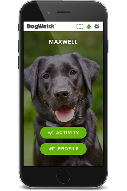 DogWatch of Chautauqua and Erie PA, Jamestown, New York | SmartFence WebApp Image